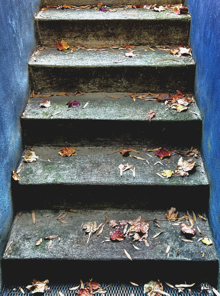 "Basement Stairs with Fallen Leaves" taken by me in 2022 for week 47, Wabi Sabi