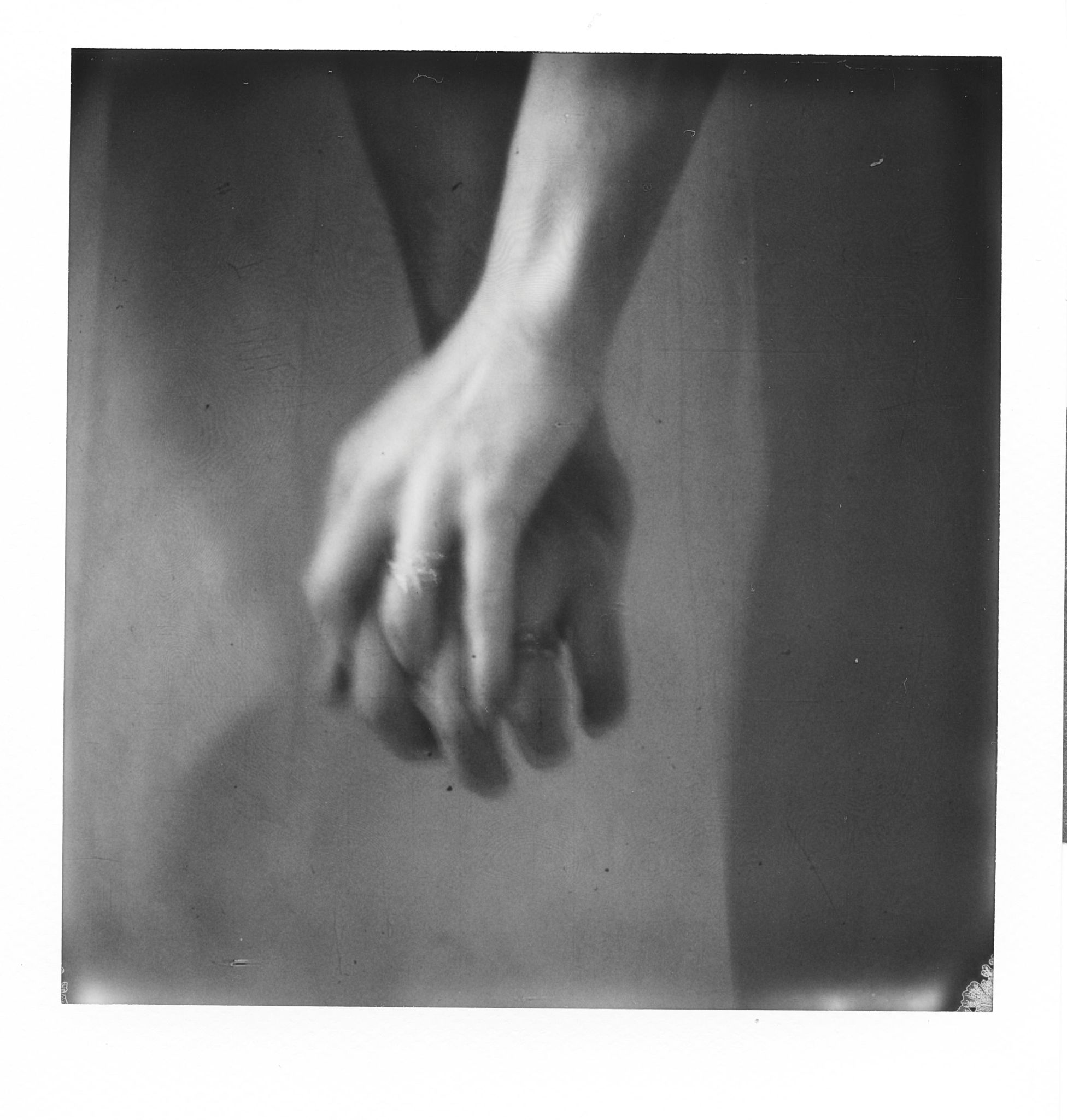 taken by me for week 52: 2020 in a photo