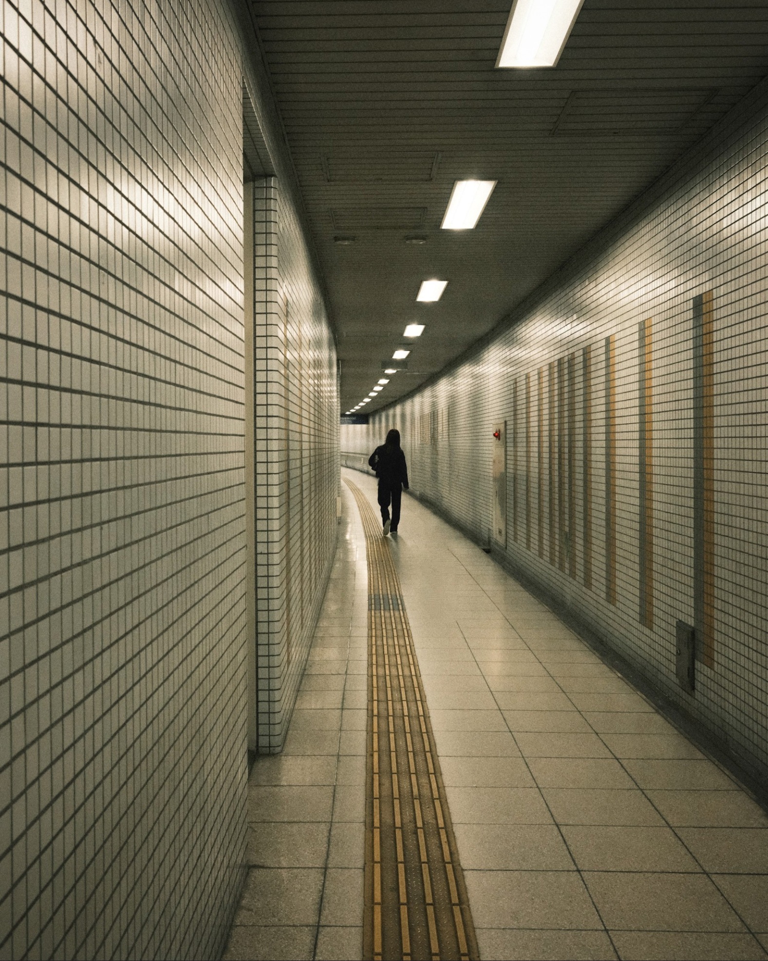 Week 17: Leading Lines (2024)