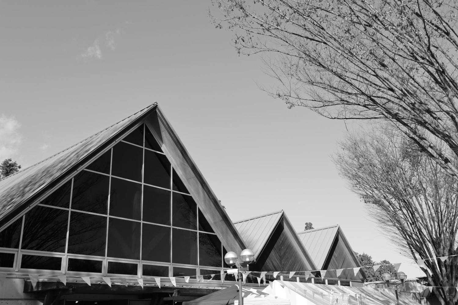 taken by me for Week 50: Black And White Minimalism (2021)