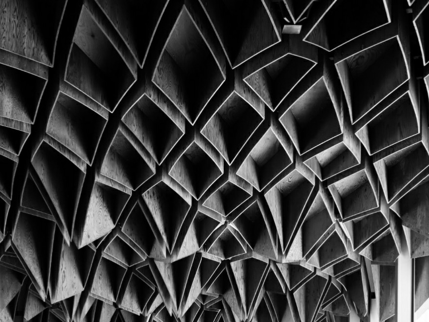 taken by me for Week 5: Black And White (2023)