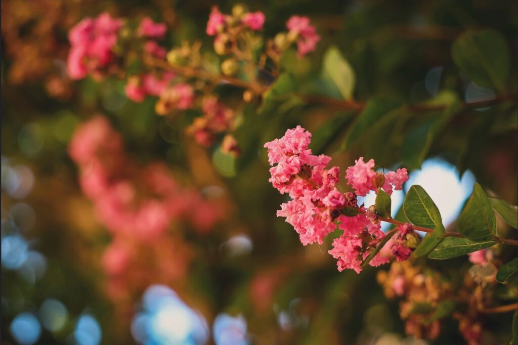 Taken by me, Week 35 Rule of Thirds (2024)